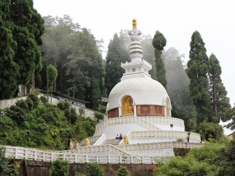 darjeeling tour peace pagoda