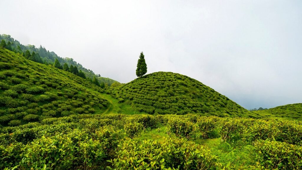 Northeast destinations