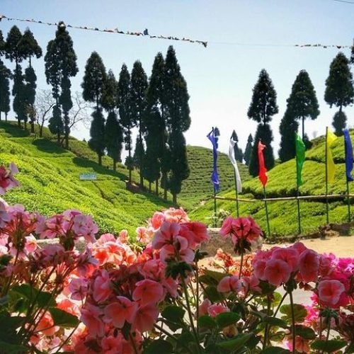 book gangtok darjeeling tour plan