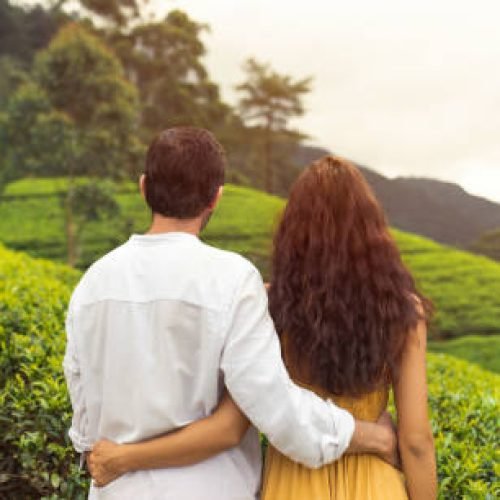 Romantic couple of travelers in love standing against nature's beauty, tea plantations landscape. Back view of young adult brunette woman and man in front of perfect natural backdrop near Nuwara Eliya tea farm. Travel and exploration of tourist family famous landmarks in Sri Lanka.